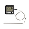 VINGA Hays thermometer