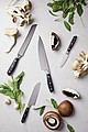 VINGA Kaiser Chefs Knife