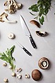 VINGA Kaiser ChefS Set
