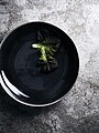 VINGA Nomimono bowl, 31 cm
