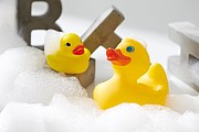 Vinyl duck 