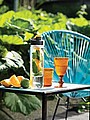 Water bottle with infuser orange