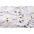 Wildflower seed business card., white