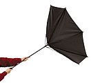 Windproof umbrella 