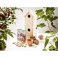 Wine wooden gift box as a bird house