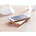 Wireless charging and power bank with 6000 mAh capacity in Bamboo casing. Includes Type C connector.