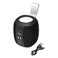 Wireless speaker RESISTANT