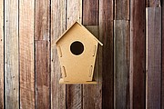 Wooden bird house