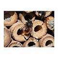Wooden Insect Hotel