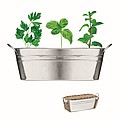 Zinc tub with 3 herbs seeds