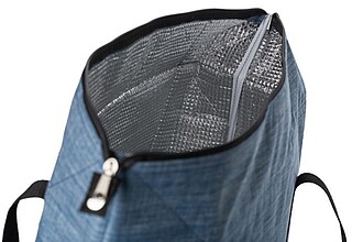 600D polyester cooler bag Alejandro