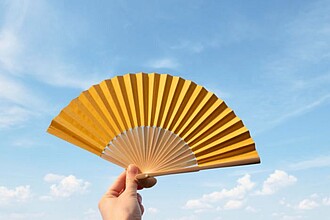 Bamboo hand held fan Elio