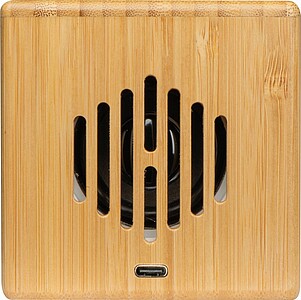 Bamboo speaker