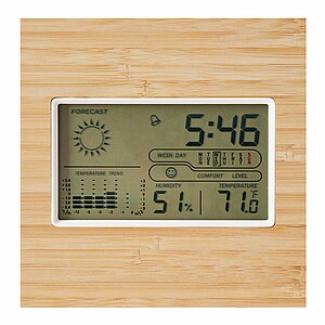 Bamboo Weather station FORECAST