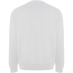 Batian unisex crewneck sweater