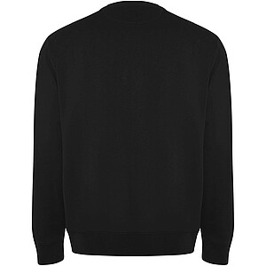 Batian unisex crewneck sweater