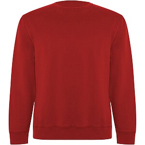 Batian unisex crewneck sweater