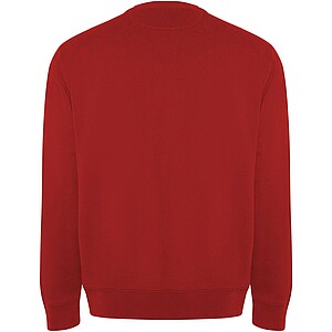 Batian unisex crewneck sweater