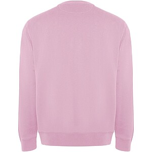 Batian unisex crewneck sweater