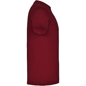 Beagle short sleeve kids t-shirt