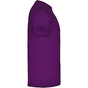 Beagle short sleeve kids t-shirt