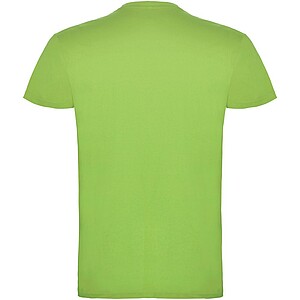 Beagle short sleeve kids t-shirt