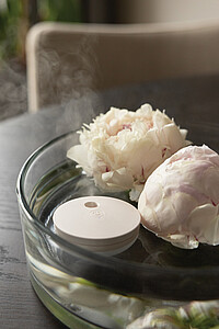 Breevia RCS rplasic re-chargeable floating humidifier, beige