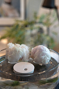 Breevia RCS rplasic re-chargeable floating humidifier, beige