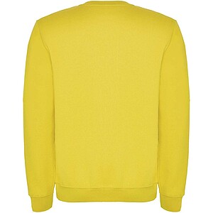 Clasica kids crewneck sweater