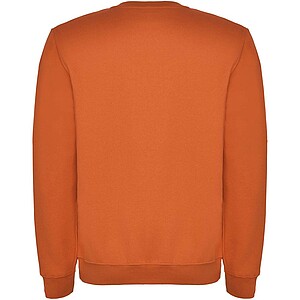 Clasica kids crewneck sweater