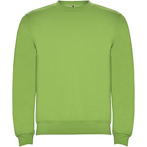 Clasica unisex crewneck sweater