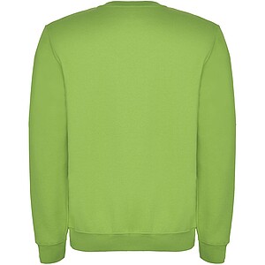 Clasica unisex crewneck sweater