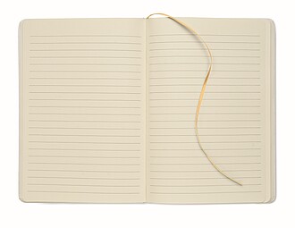 Colour revealing A5 notebook, gold