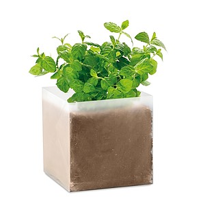Compost with seeds "MINT"