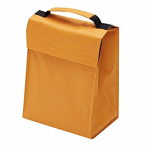 Cooler bag 