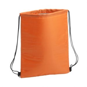 cooler bag