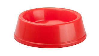 dog bowl