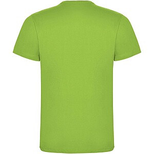 Dogo Premium short sleeve mens t-shirt, oasis green