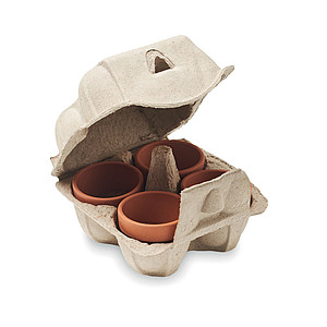Egg carton growing kit MO6886-13