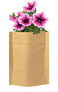 flower planting kit