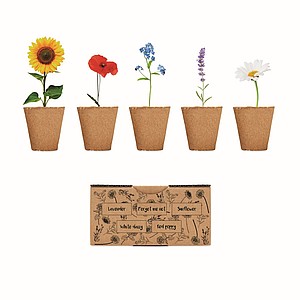 Flowers growing kit