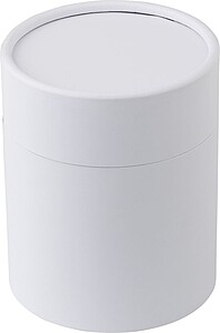 Glass candle Matthew