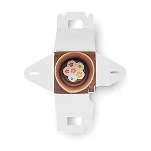 Grow house set for kids.