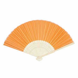 hand fan RPET 