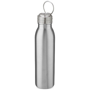 Harper 700 ml stainless steel water bottle with metal loop