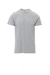 Men’s T-shirt PAYPER PRINT, grey melange, S
