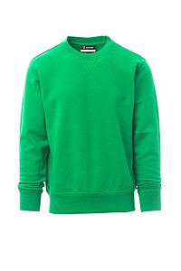 Mens sweatshirt PAYPER ORLANDO, green, XS