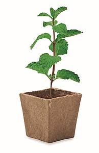 Mint seeds growing kit, beige