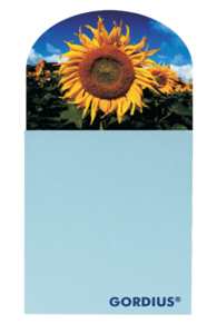 Note-it with magnet