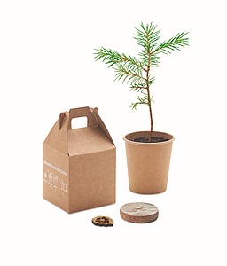 Pine tree set